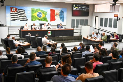 Região de Campinas registrou 11 mortes causadas por dengue e cinco por febre amarela em menos de dois meses