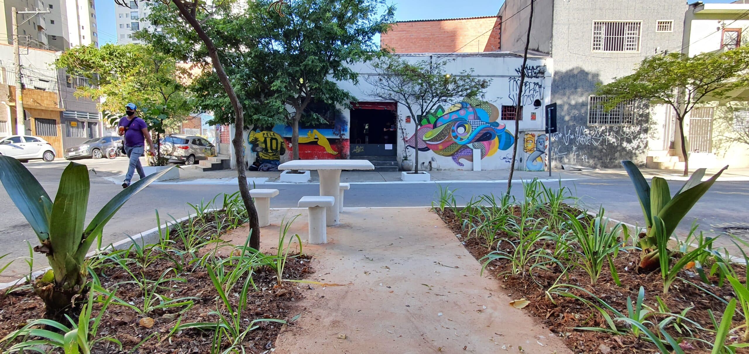 Aprovada lei que incentiva espaços verdes em vagas de estacionamento